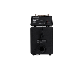 Micro SuperBeetle Guitar